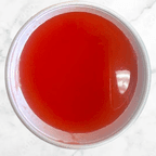 Best Sweet&Sour sauce in Clarkston, MI